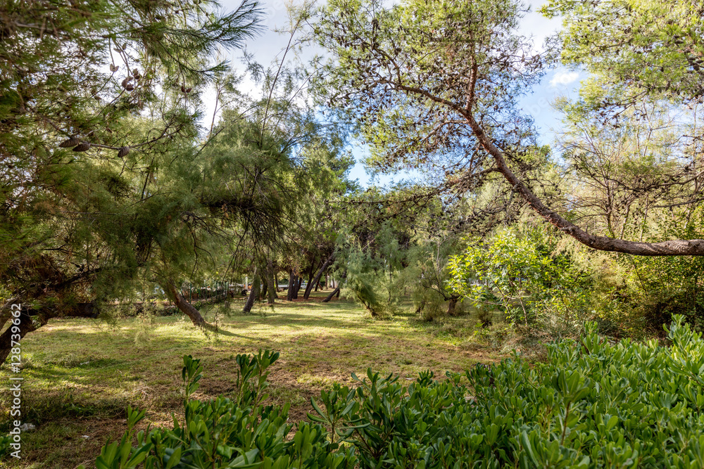 Fototapeta premium Gartenanlage in Kroatien