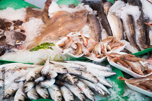 fresh fish on market photo