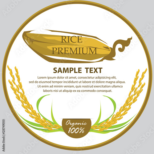 Rice. Vector illustration.