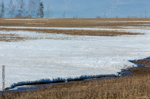 early spring grain stubble of mown old packed snow, streams of w
