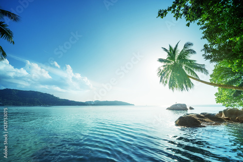 sunset on the beach  Mahe island  Seychelles