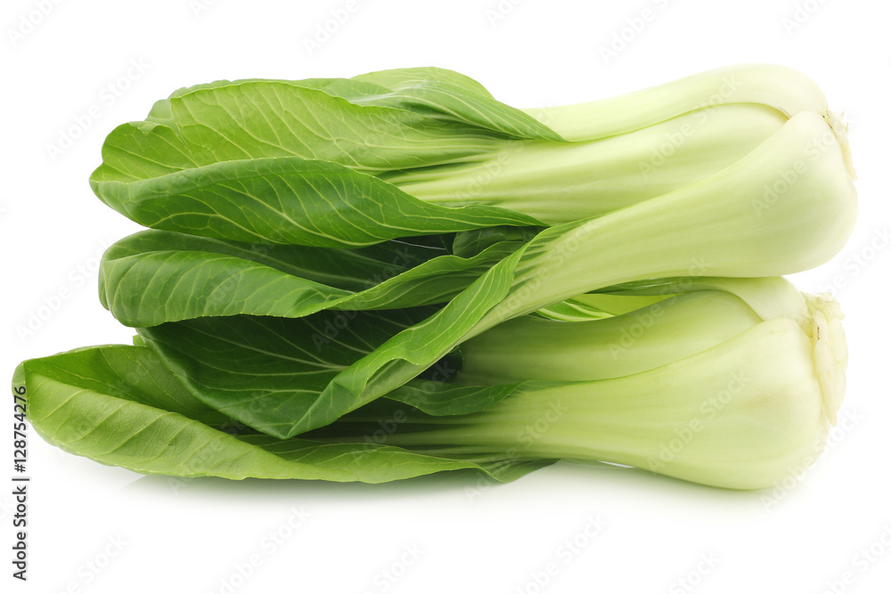 fresh Shanghai (small) paksoi on a white background fresh Shanghai (small) paksoi on a white background