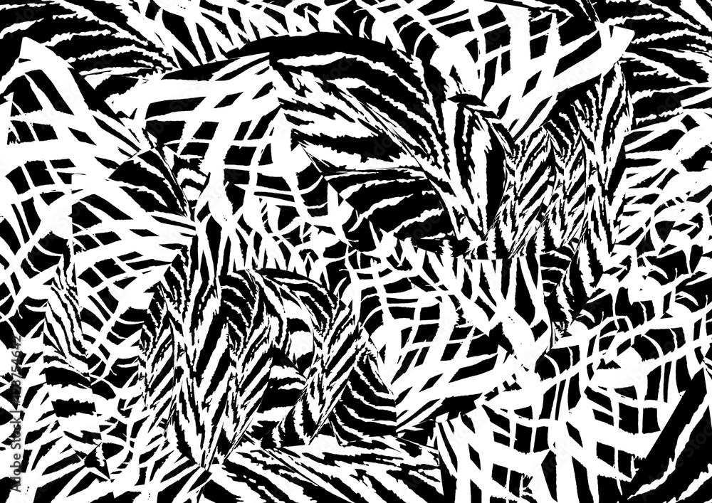 Obraz premium Tropical leaves 