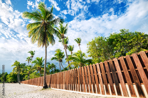 The fence on the beach with palm trees