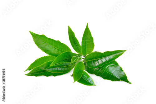 Green tea leaf isolated on white