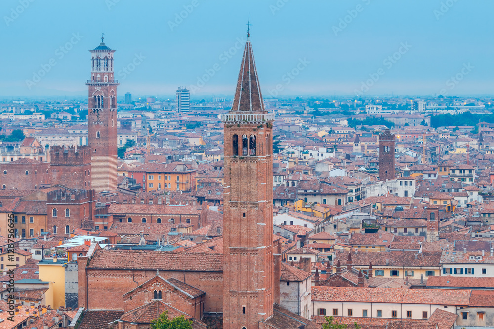 Verona. Aerial view of the city.