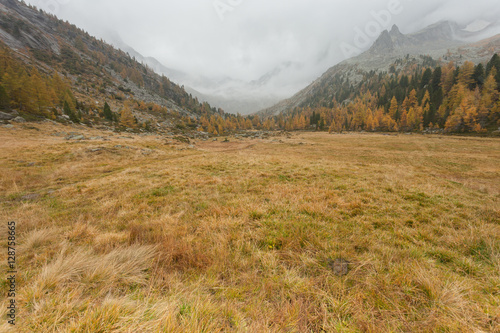 walking at fall in a cloudy day in a mountain valley