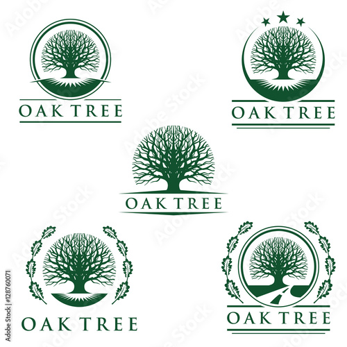eco green oak tree vector logo design