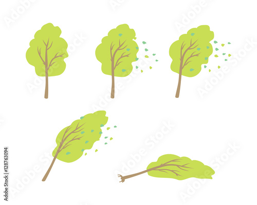 Strong Wind Topple Tree Vector in Flat Design