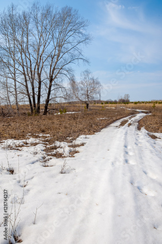 Country road in the forest in the early spring