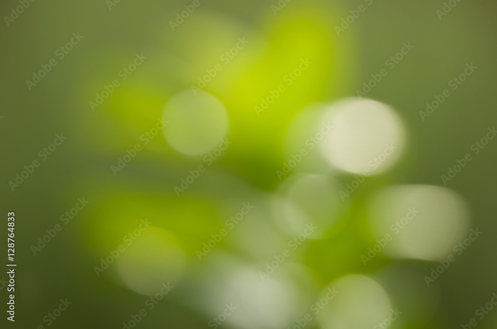 Obraz premium Bokeh