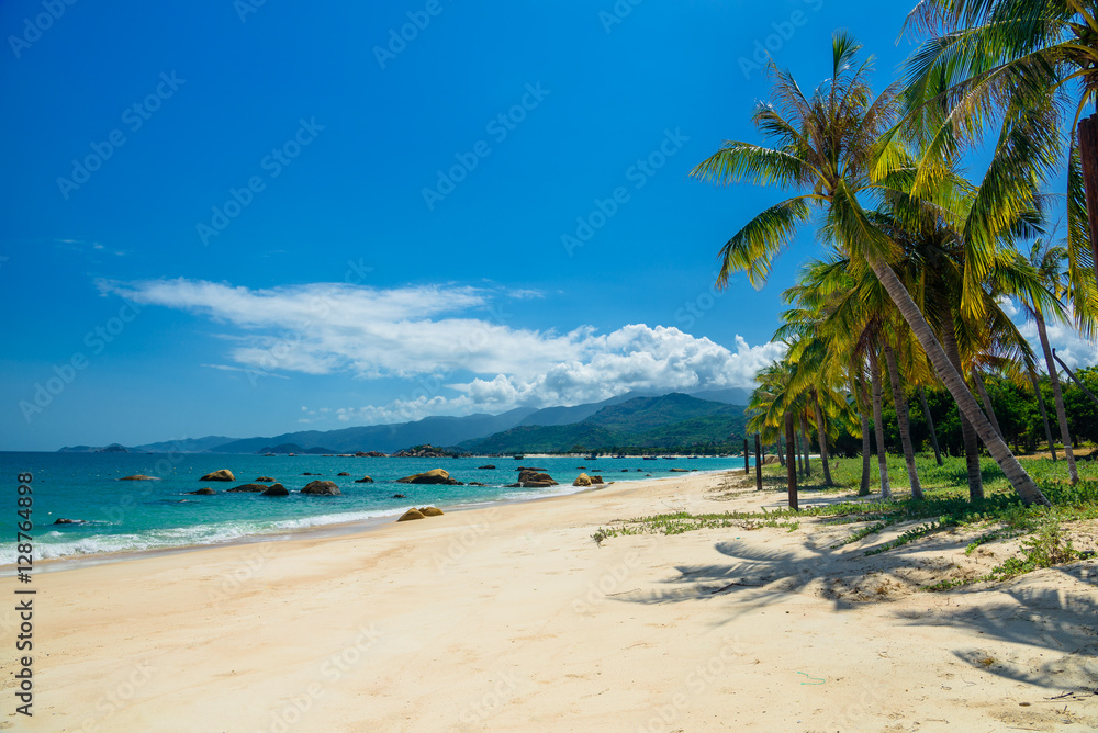 Wild beach vietnam, blue sea, sun and palm trees