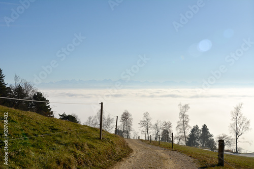 Natur einsamer Baum Sonne und Landschaft