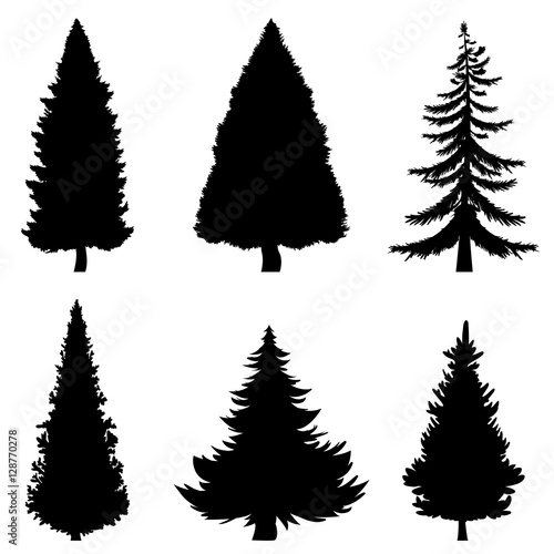 Vector Black Silhouettes of 6 Pine Trees on White Background