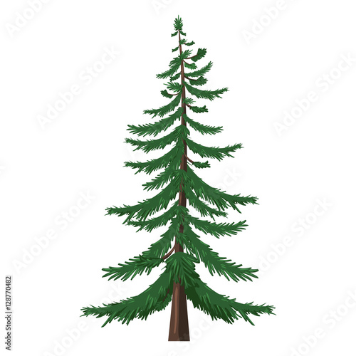 Vector Single Cartoon Pine Tree on White Background