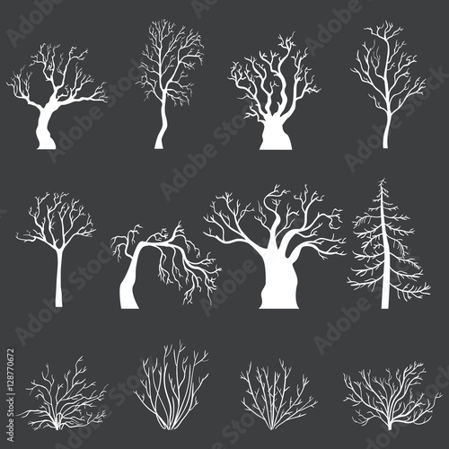 Vector Set of White Silhouettes of Bare Trees and Bushes without Leaves