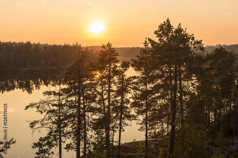 Fototapeta premium forest lake in summer