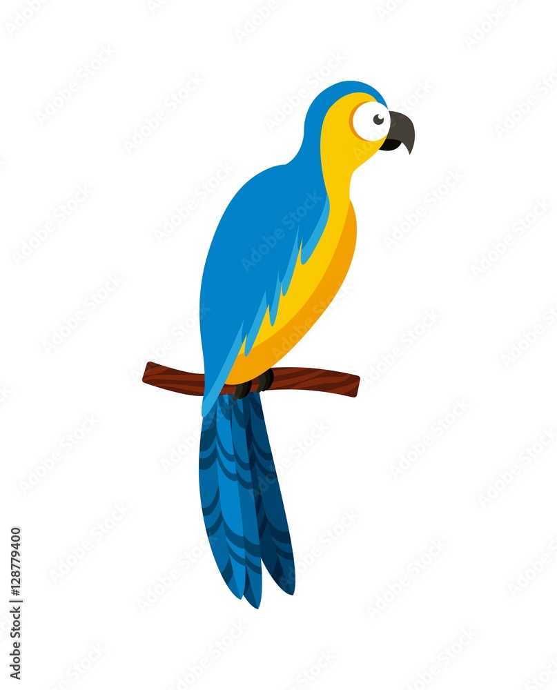 macaw bird icon over white background. brazilian culture concept. colorful design. vector illustration