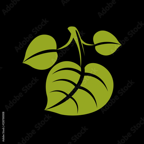 Three simple green vector leaves of deciduous tree, stylized nat