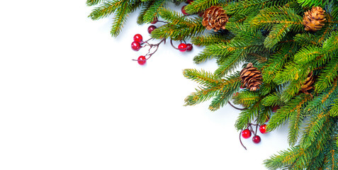 Christmas border. Branches of fir tree decorated with holly berry and cones