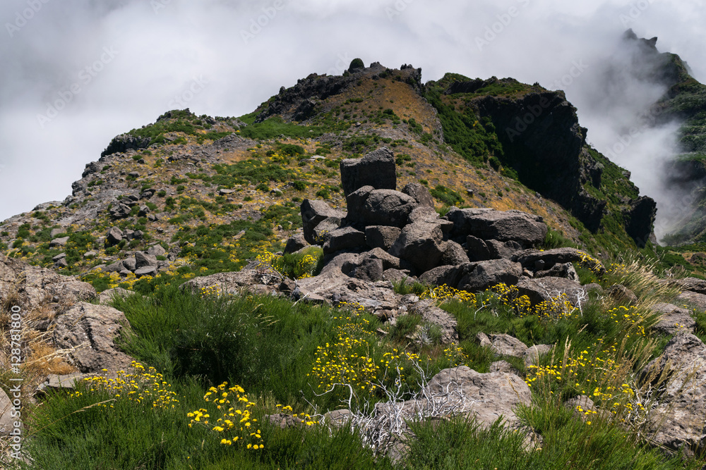 Hiking Pico do Arierio, Pico Ruivo, Madeira, Portugal Hiking Pico do Arierio, Pico Ruivo, Madeira, Portugal