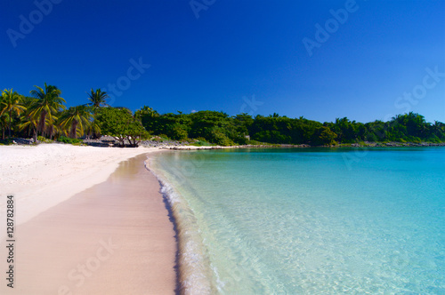 Sandy beach with palm photo