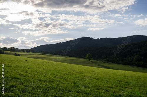 Green meadow during sunny and cloudy afternoon. Slovakia