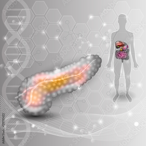 Pancreas anatomy drawing and human silhouette with pancreas and surrounding organs on an abstract scientific background