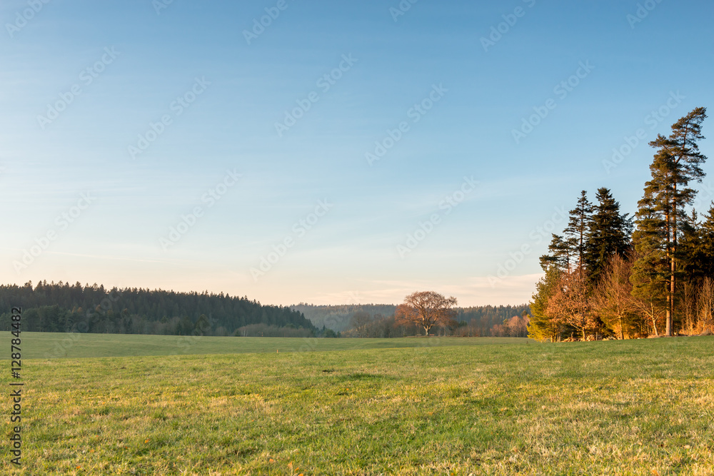 Obraz premium Sonnenuntergang im Schwarzwald