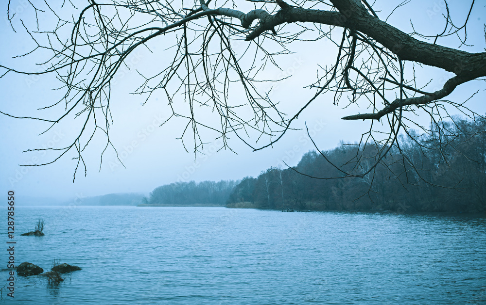 Bleak cold winter lake landscape