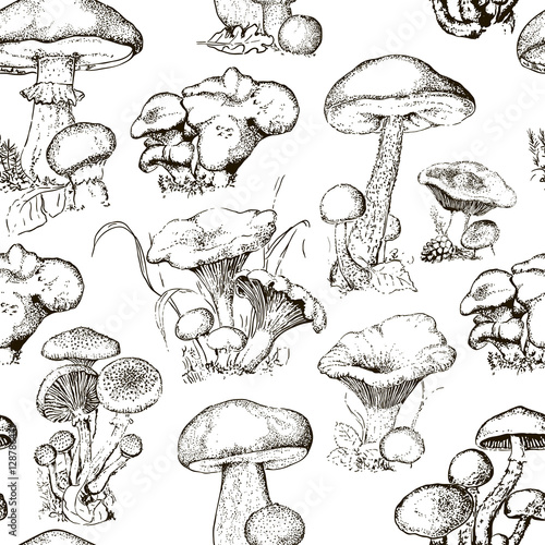 seamless pattern with mushrooms. Vector illustration for your design