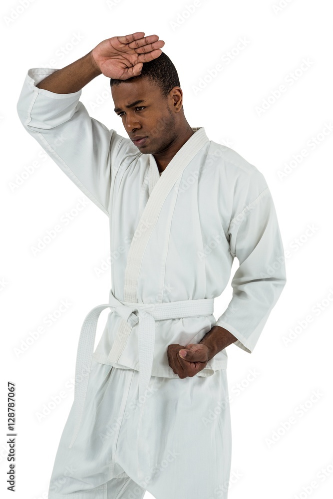 Fighter performing karate stance Fighter performing karate stance