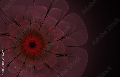 abstract pink and red fractal flower computer generated image  background for text labels