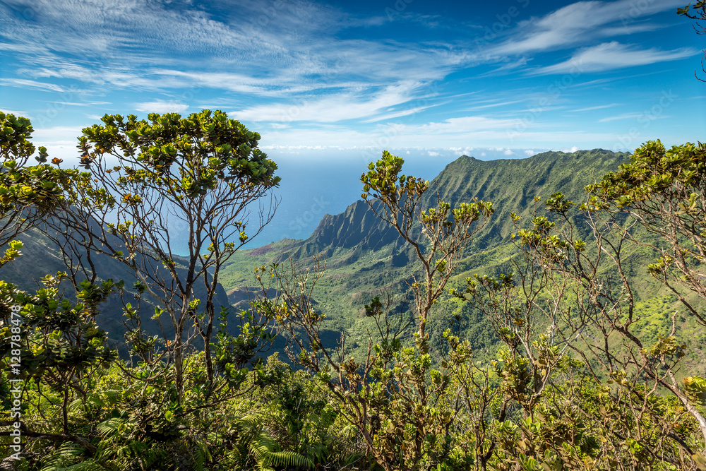 The beautiful Kalalau valley on the island of Kauai, Hawaii The beautiful Kalalau valley on the island of Kauai, Hawaii