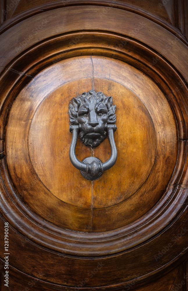 Lion Head Door Knocker Lion Head Door Knocker