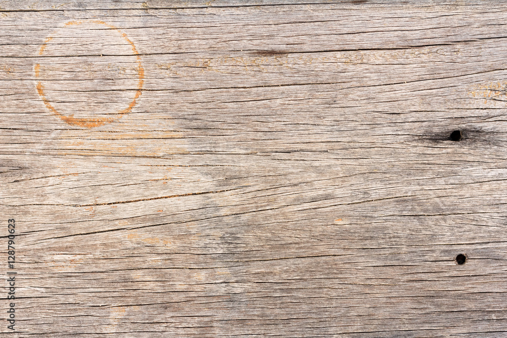 Fototapeta premium Wood texture, wood background for design with copy space for text or image. Wood motifs that occurs natural.