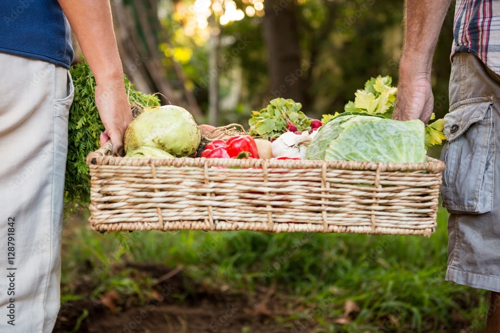 Fototapeta premium Midsection of colleague carrying vegetables crate at garden