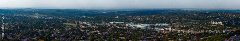 Wide Panorama overlooking Cresta Johannesburg surrounded by purple Jacaranda trees