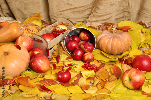 autumn background  fruits and vegetables on yellow fallen leaves  apples and pumpkin  decoration in country style