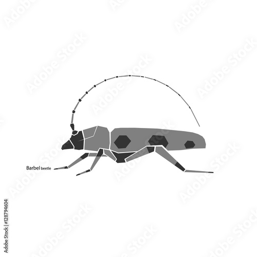  barbel beetle