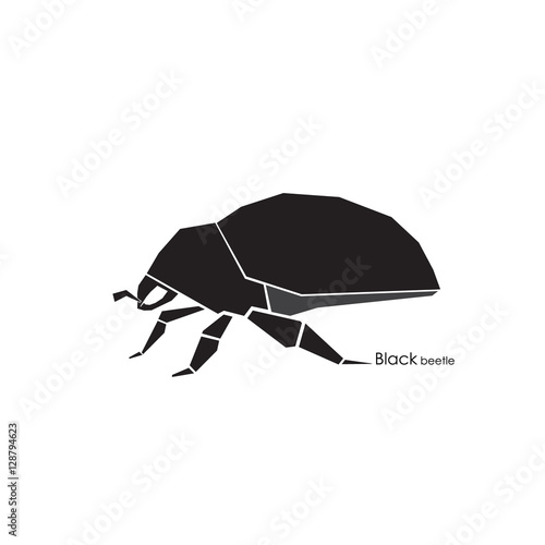 black beetle