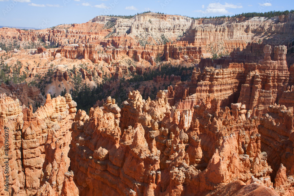 Desert Rock Formation