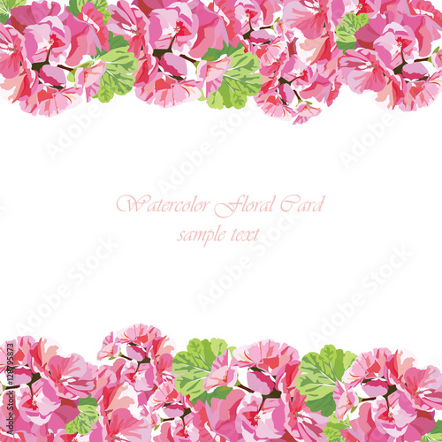 Fototapeta Naklejka Na Ścianę i Meble -  Watercolor geranium flowers card. Vector floral border for background greeting cards, invitations, weddings, birthday, Valentine's Day, Mother's Day