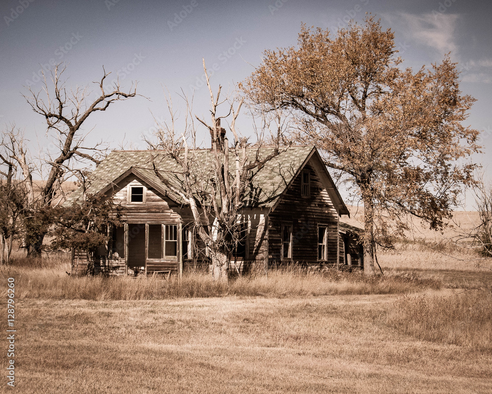 Fototapeta premium This Old House