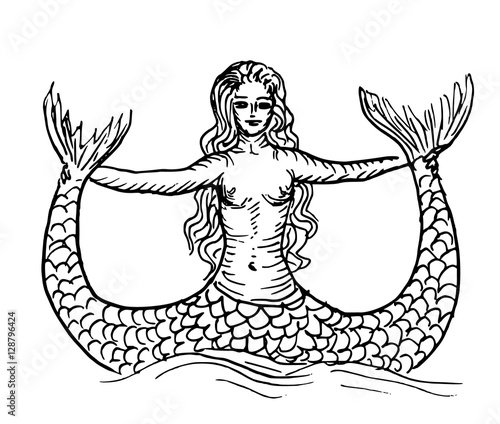 mermaid or siren