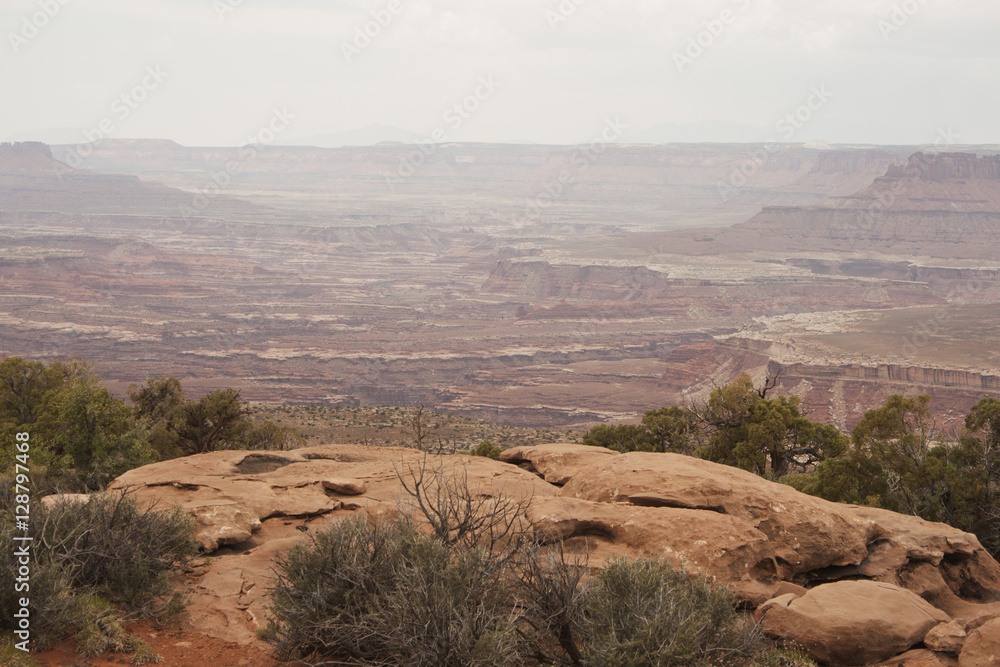 Desert Rock Formation