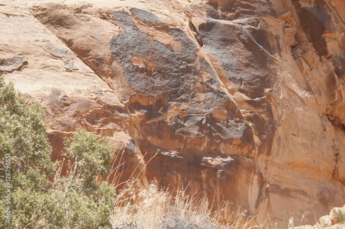 Desert Petroglyphs