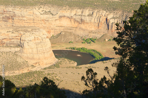 Desert River