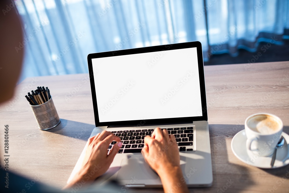 Fototapeta premium Businesswoman using a computer