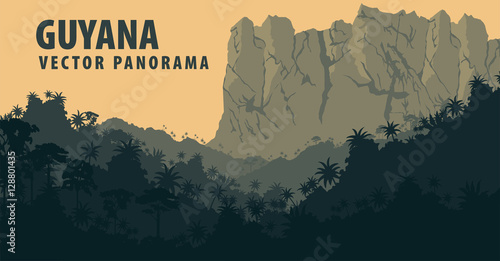 Vector panorama with Jungle Rainforest and Tepui  - Guyana, South America